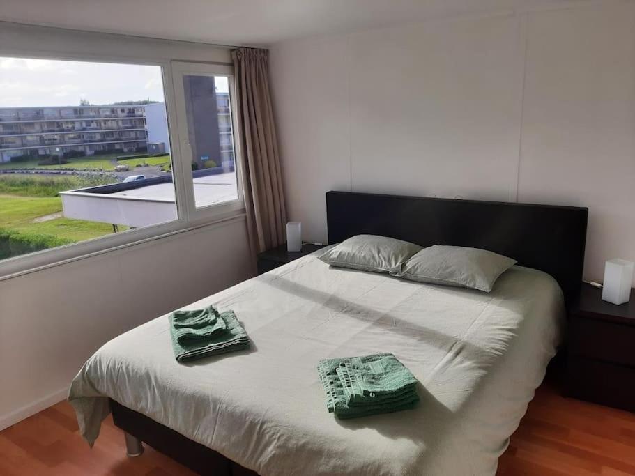 Spacieux Duplex Pres De La Mer 4 Chambres 2 Sdb เดอฮาน ภายนอก รูปภาพ