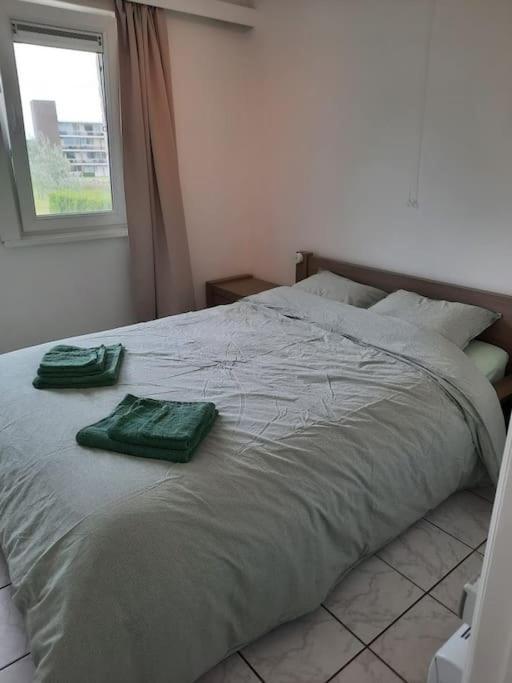 Spacieux Duplex Pres De La Mer 4 Chambres 2 Sdb เดอฮาน ภายนอก รูปภาพ